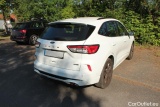  Ford  Kuga  Hybrid ST-Line 2.0 EcoBlue 110KW MT6 E6dT #2