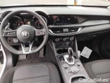  Alfa Romeo   STELVIO 2.2 Turbo Diesel 190CV Business AT8 RWD #7