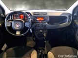  Fiat  Panda FIAT  / 2011 / 5P / BERLINA 1.0 FIREFLY 70CV SeS HYBRID #3