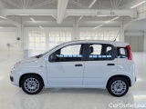 Fiat  Panda FIAT  / 2011 / 5P / BERLINA 1.0 FIREFLY 70CV SeS HYBRID #8