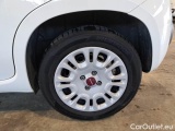  Fiat  Panda FIAT  / 2011 / 5P / BERLINA 1.0 FIREFLY 70CV SeS HYBRID #20