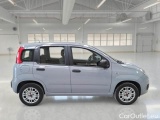  Fiat  Panda FIAT  / 2011 / 5P / BERLINA 1.2 69CV E6D-TEMP EASY #7