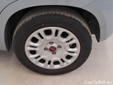  Fiat  Panda FIAT  / 2011 / 5P / BERLINA 1.2 69CV E6D-TEMP EASY #19