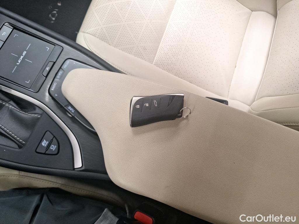  Lexus  IS 2.0 250h Luxury Auto E-Four #1
