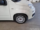  Fiat  Panda FIAT  / 2011 / 5P / BERLINA 1.0 FIREFLY 70CV SeS HYBRID #28