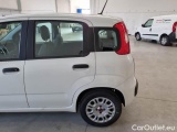  Fiat  Panda FIAT  / 2011 / 5P / BERLINA 1.0 FIREFLY 70CV SeS HYBRID #33