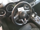  Alfa Romeo   STELVIO ALFA ROMEO / 2017 / 5P / SUV 2.2 TURBO DIESEL 190CV EXECUTIVE AT8 Q4 #117