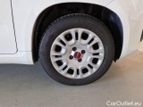  Fiat  Panda FIAT  / 2011 / 5P / BERLINA 1.0 70CV SeS HYBRID #17