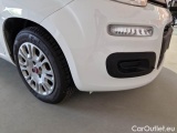 Fiat  Panda FIAT  / 2011 / 5P / BERLINA 1.0 70CV SeS HYBRID #33