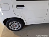  Fiat  Panda FIAT  / 2011 / 5P / BERLINA 1.0 70CV SeS HYBRID #38