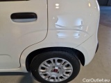  Fiat  Panda FIAT  / 2011 / 5P / BERLINA 1.0 70CV SeS HYBRID #48