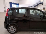  Fiat  Panda FIAT  / 2011 / 5P / BERLINA 1.0 FIREFLY 70CV SeS HYBRID #29