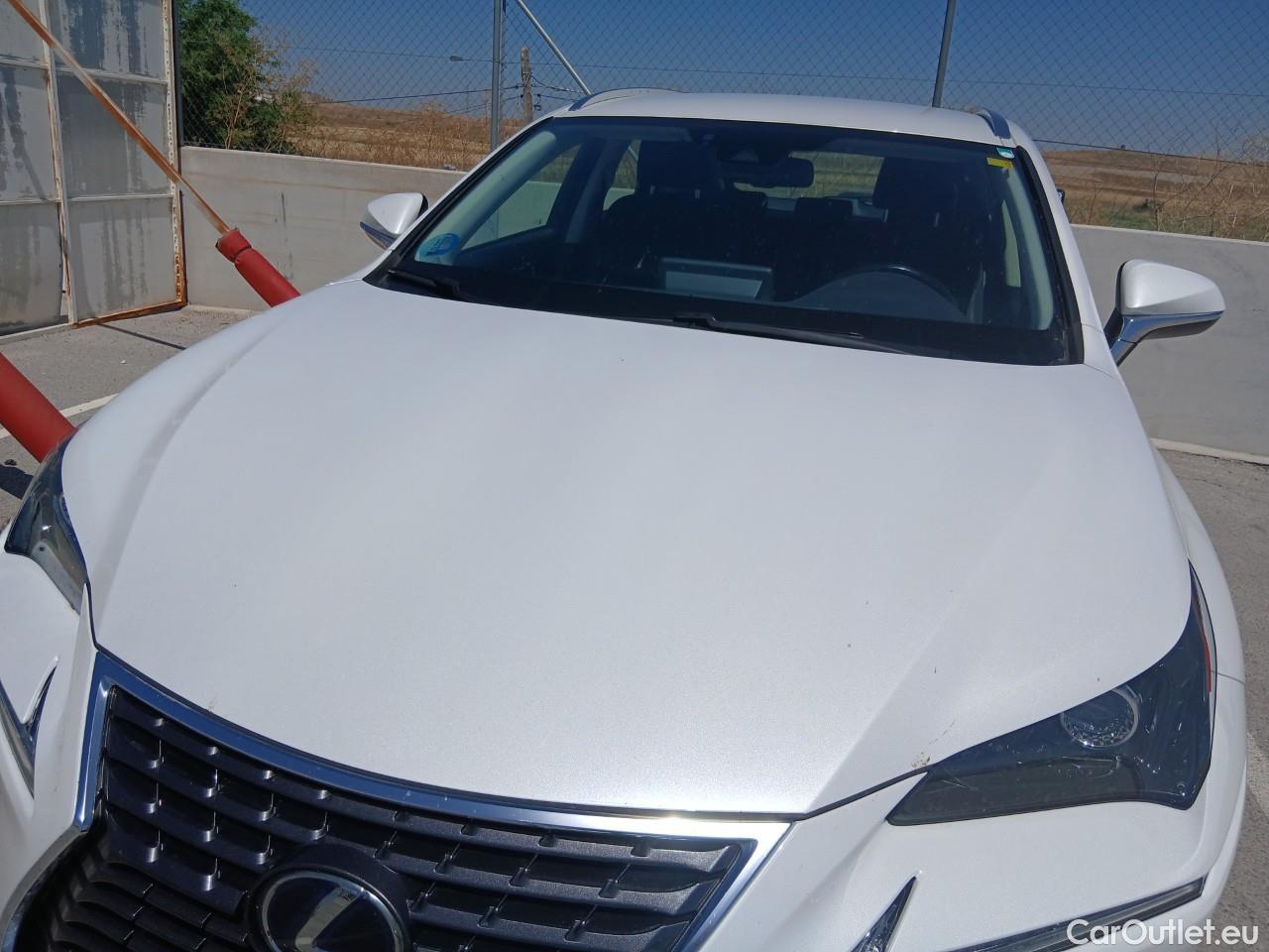  Lexus  NX LEXUS  / 2017 / 5P / todoterreno 2.5 300h Business Navigation 2WD (CX) #8
