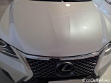  Lexus  CT LEXUS  / 2017 / 5P / BERLINA 200H BUSINESS #26