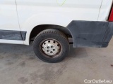  Fiat  Ducato FIAT  2014 FURGONE 30 CH1 2.3 MULTIJET 16V 130CV 6M #146