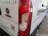  Fiat  Ducato FIAT  2014 FURGONE 33 LH2 2.0 MULTIJET 16V 115CV #49