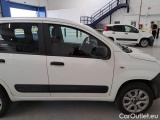  Fiat  Panda FIAT  / 2012 / 5P / BERLINA 900CC 85CV VAN EU6D 4X4 2P.POP #31