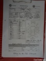  Ford  Transit FORD  Custom 320 L2H1 LKW VA Autm. Trend 4d 96kW #31