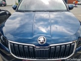  Skoda  Karoq Clever 2.0TDi 115pk/cv 5p DSG7 Automatic Diesel  17 #24