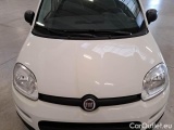  Fiat  Panda FIAT  / 2011 / 5P / BERLINA 1.0 70CV SeS HYBRID #22