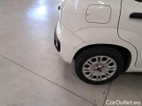  Fiat  Panda FIAT  / 2011 / 5P / BERLINA 1.0 70CV SeS HYBRID #37
