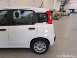  Fiat  Panda FIAT  / 2011 / 5P / BERLINA 1.0 70CV SeS HYBRID #42