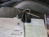  Skoda  Karoq  Ambition 4x4 2.0 TDI 110KW AT7 E6d #18