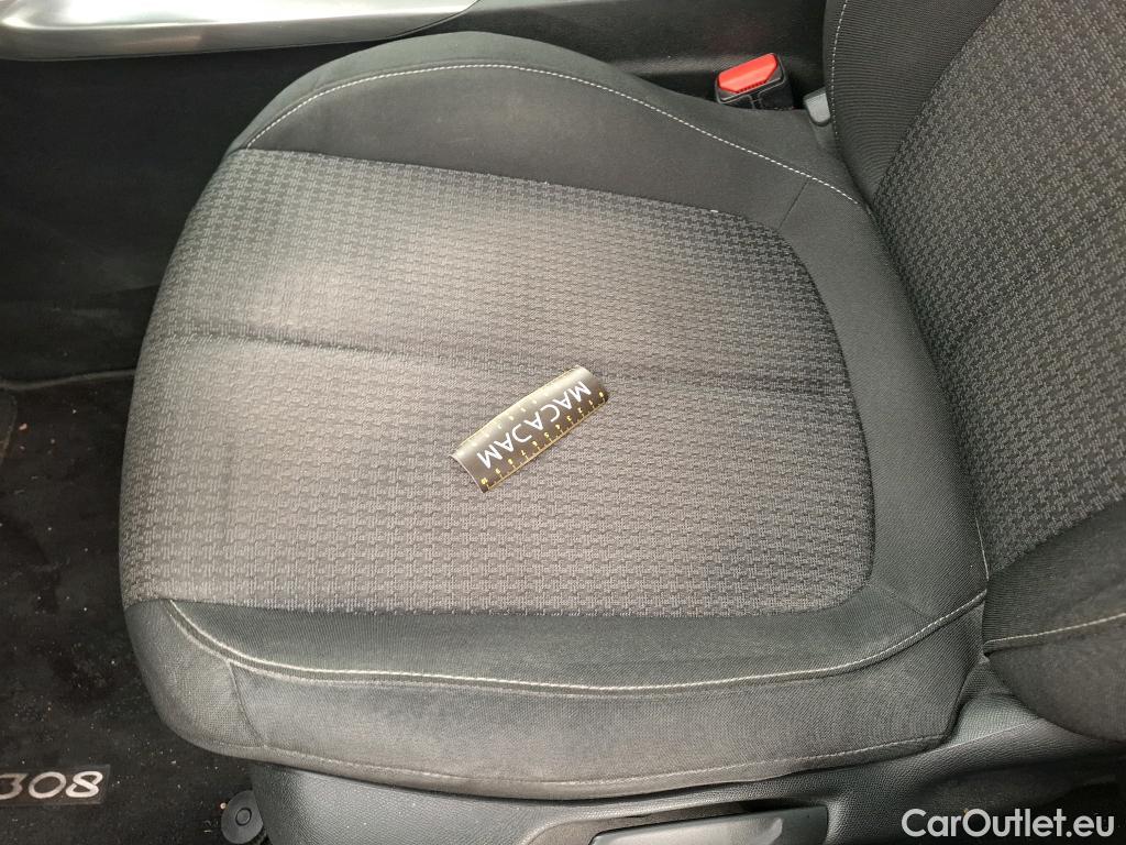  Peugeot  308  Active Business 1.5 HDi 130CV BVA8 E6d #13