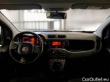  Fiat  Panda FIAT  / 2011 / 5P / BERLINA 1.0 FIREFLY 70CV SeS HYBRID #3