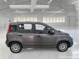  Fiat  Panda FIAT  / 2011 / 5P / BERLINA 1.0 FIREFLY 70CV SeS HYBRID #7
