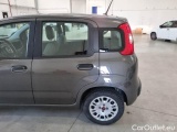  Fiat  Panda FIAT  / 2011 / 5P / BERLINA 1.0 FIREFLY 70CV SeS HYBRID #48