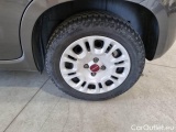  Fiat  Panda FIAT  / 2011 / 5P / BERLINA 1.0 FIREFLY 70CV SeS HYBRID #66
