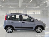  Fiat  Panda FIAT  / 2011 / 5P / BERLINA 1.0 FIREFLY 70CV SeS HYBRID CITY LIFE #7