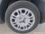  Fiat  Panda FIAT  / 2011 / 5P / BERLINA 1.0 FIREFLY 70CV SeS HYBRID #17