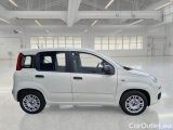  Fiat  Panda FIAT  / 2011 / 5P / BERLINA 1.2 69CV E6D-TEMP EASY #7