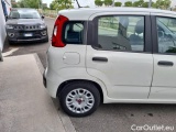  Fiat  Panda FIAT  / 2011 / 5P / BERLINA 1.2 69CV E6D-TEMP EASY #37