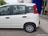  Fiat  Panda FIAT  / 2011 / 5P / BERLINA 1.2 69CV E6D-TEMP EASY #43