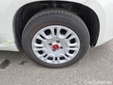  Fiat  Panda FIAT  / 2011 / 5P / BERLINA 1.2 69CV E6D-TEMP EASY #51