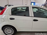  Fiat  Punto FIAT  / 2011 / 5P / BERLINA 1.3 MULTIJET STREET 95CV SeS EU6 #59