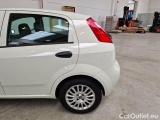  Fiat  Punto FIAT  / 2011 / 5P / BERLINA 1.3 MULTIJET STREET 95CV SeS EU6 #81