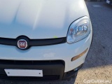 Fiat  Panda FIAT  / 2011 / 5P / BERLINA 1.0 FIREFLY 70CV SeS HYBRID CITY LIFE #21