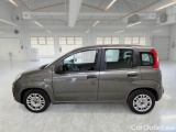 Fiat  Panda FIAT  / 2011 / 5P / BERLINA 1.0 FIREFLY 70CV SeS HYBRID #8