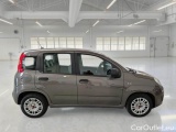  Fiat  Panda FIAT  / 2011 / 5P / BERLINA 1.0 FIREFLY 70CV SeS HYBRID #7