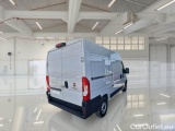  Fiat  Ducato FIAT  / 2014 / 4P / FURGONE 35 MH2 2.2 MJT3 140CV E6D-FIN #2