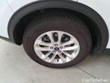  Ford  Kuga FORD  / 2019 / 5P / SUV 2.5 BENZINA PHEV 225CV 2WD TIT.BUS. AUT #18