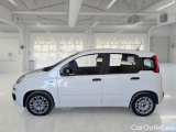  Fiat  Panda FIAT  / 2011 / 5P / BERLINA 1.0 FIREFLY 70CV SeS HYBRID #8