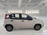  Fiat  Panda FIAT  / 2011 / 5P / BERLINA 1.0 FIREFLY 70CV SeS HYBRID #7