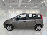  Fiat  Panda FIAT  / 2011 / 5P / BERLINA 1.0 FIREFLY 70CV SeS HYBRID #8
