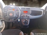 Fiat  Panda FIAT  / 2011 / 5P / BERLINA 1.0 70CV SeS HYBRID #3