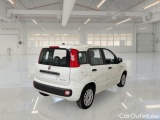  Fiat  Panda FIAT  / 2011 / 5P / BERLINA 1.0 FIREFLY 70CV SeS HYBRID #2